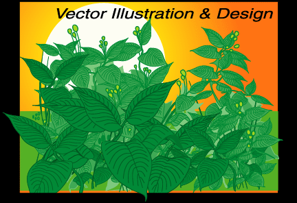 Vector Graphics & Design